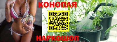 гидропоника Чапаевск