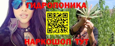 крисы Чебоксары