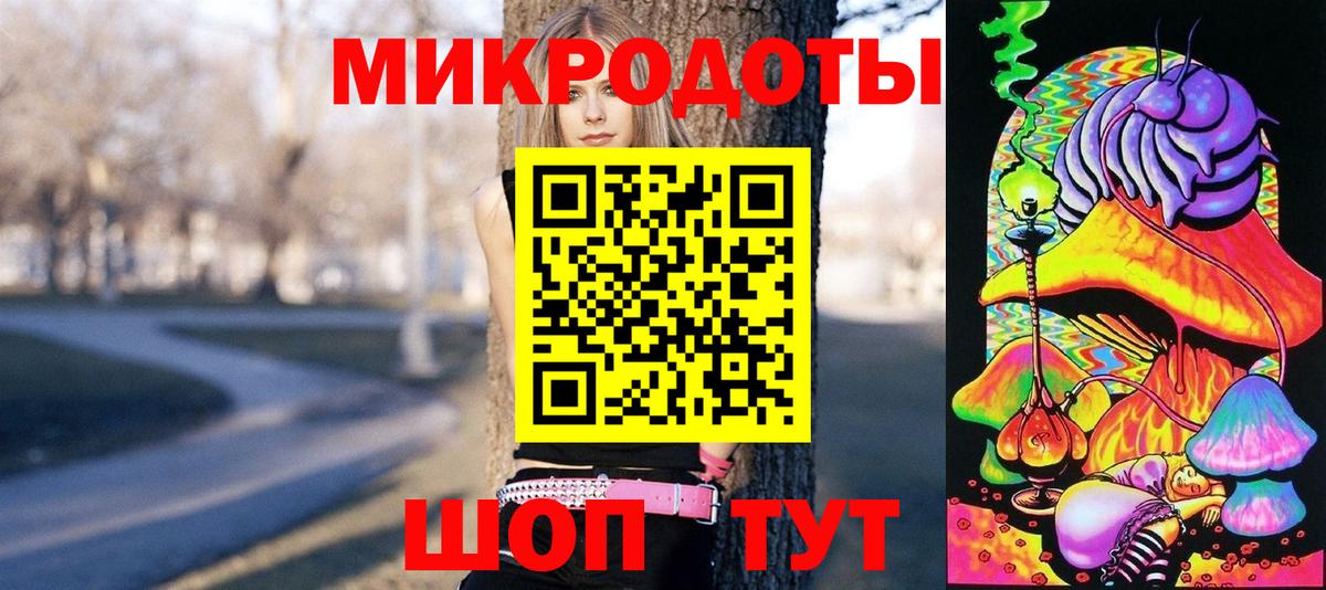 Псилоцибиновые грибы мицелий Обнинск